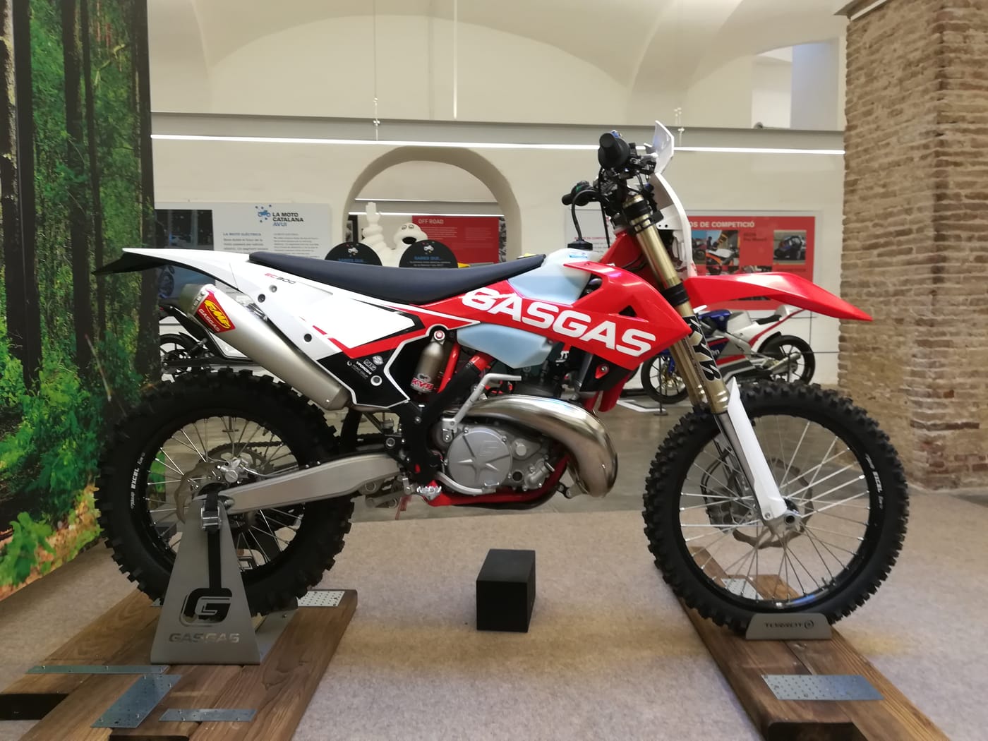 Gas Gas Ec 450f