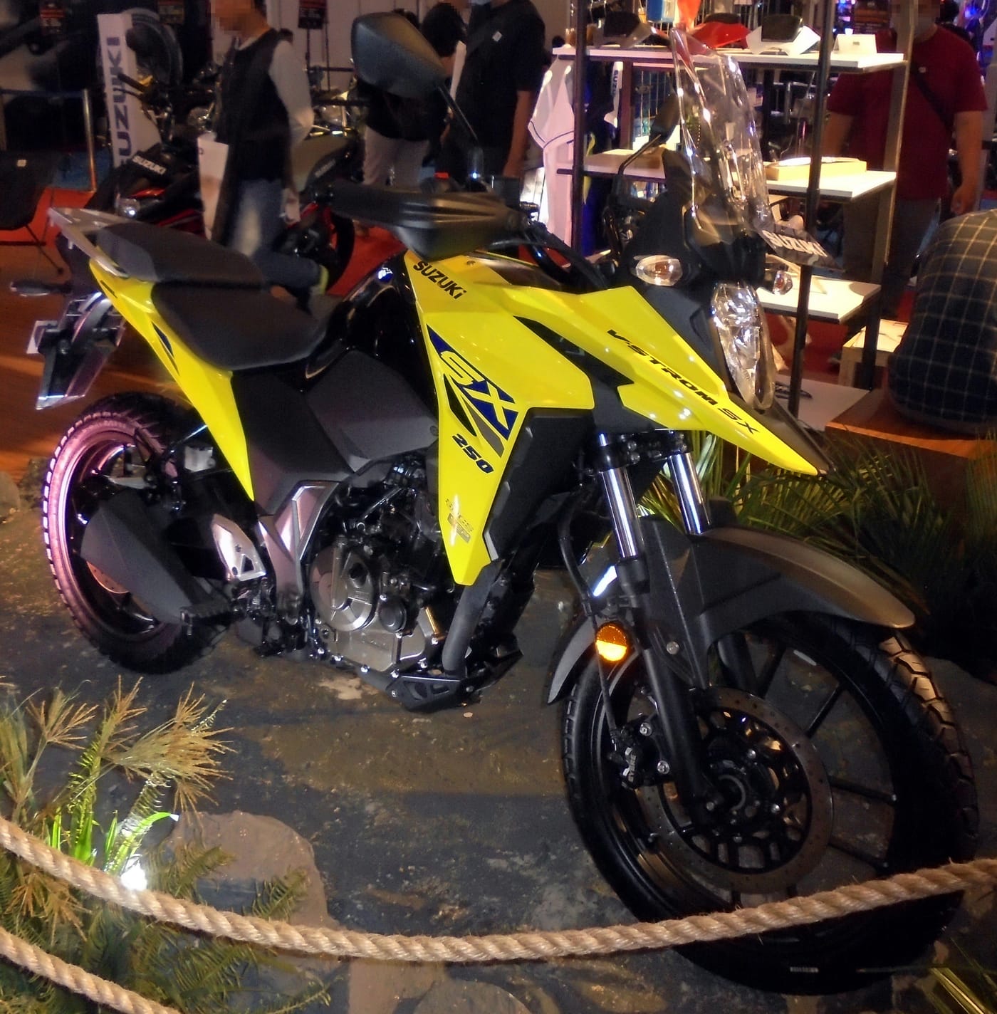 Suzuki Ts125r