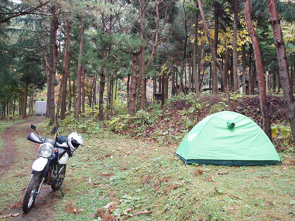 Suzuki Djebel 250