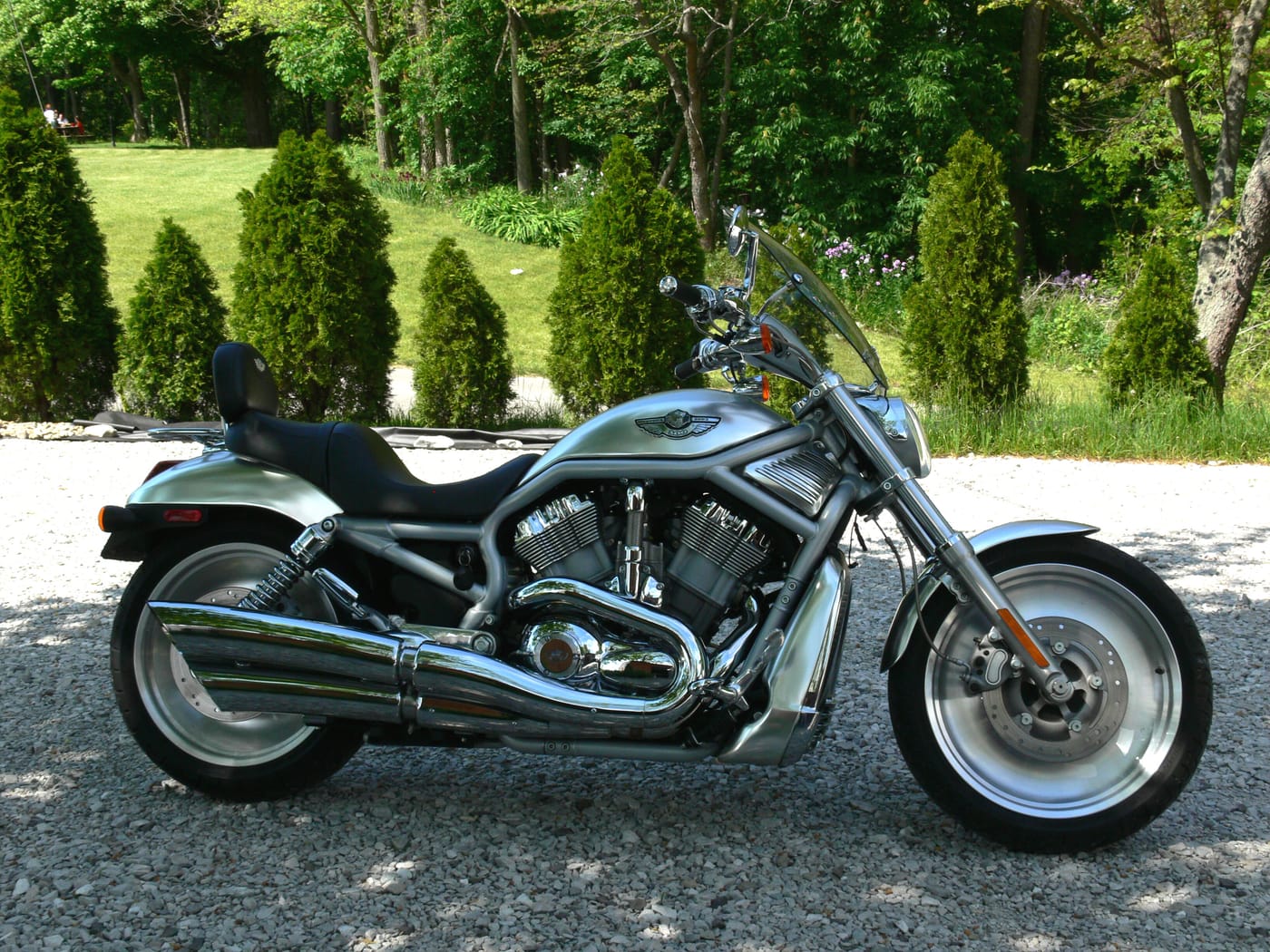 Harley-davidson Vrsca V-rod