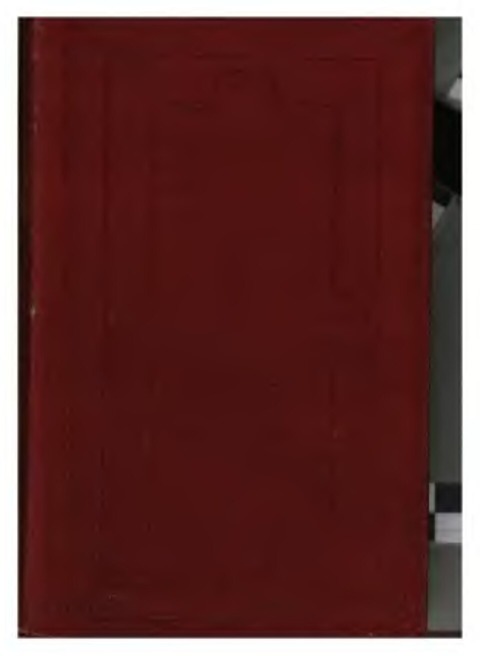 Hero Vida V1
