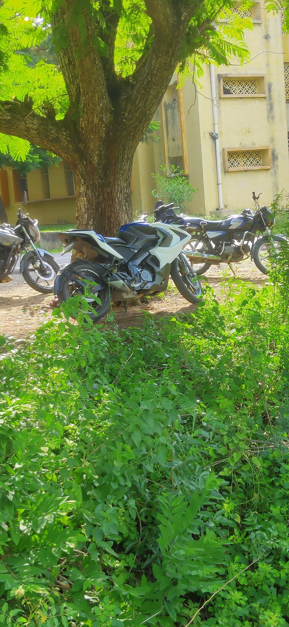 Bajaj Pulsar Rs 200