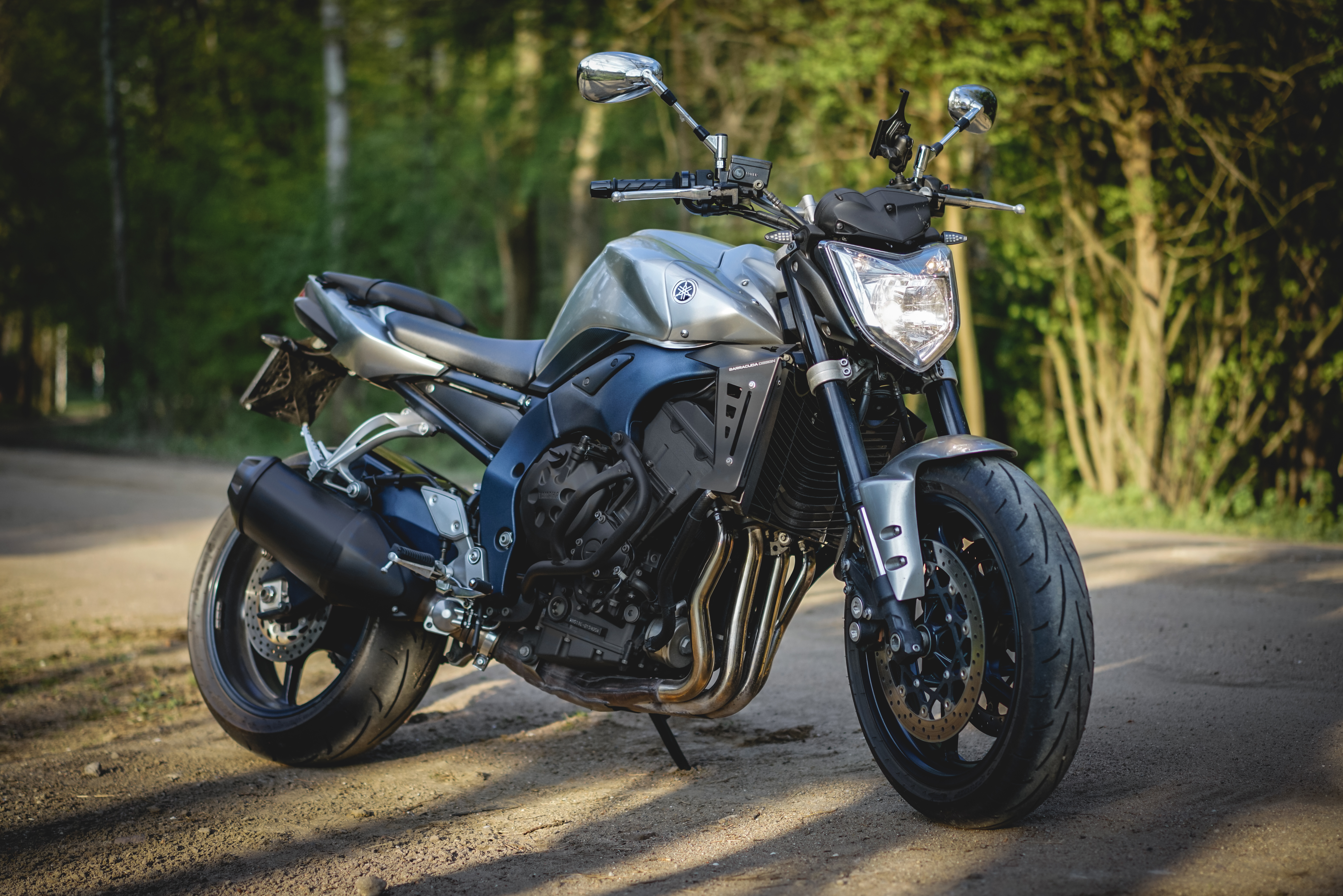 Yamaha Fz1