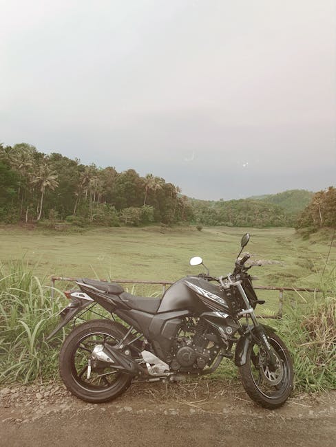 Yamaha Fzs Fi V3